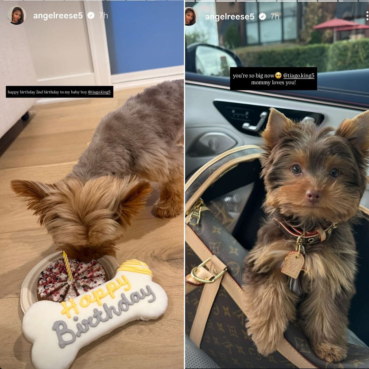 Angel Reese’s birthday wishes for her pet dog, Tiago King Reese.